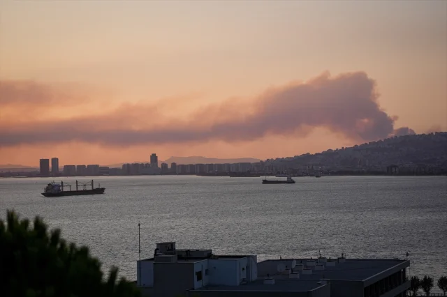 İzmir'de Çöplükte Başlayan Yangın Ormanları Tehdit Ediyor