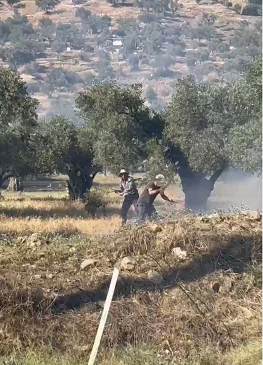 İzmir'de Zeytinlikte Çıkan Yangın Korkuttu: Büyük Çabalarla Söndürüldü