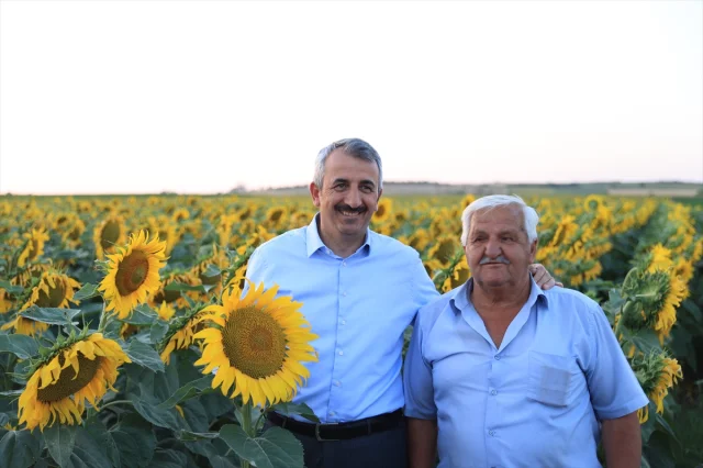 Edirne'de Sulama Projeleriyle Tarımsal Üretim İki Katına Çıktı