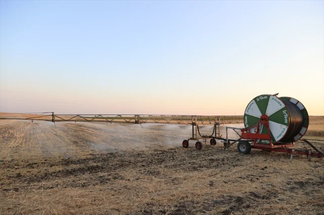 Edirne'de Sulama Projeleriyle Tarımsal Üretim İki Katına Çıktı