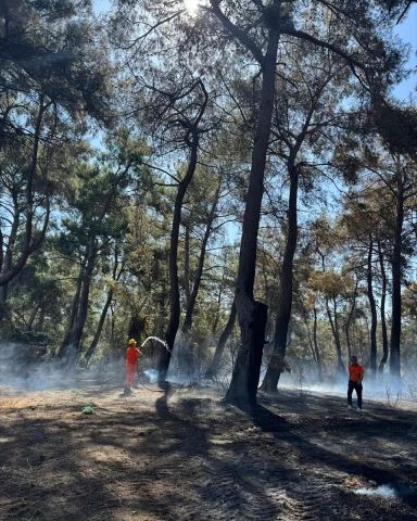 Antalya'da Aksu ve Kumluca'da Orman Yangınları Ekipleri Harekete Geçirdi
