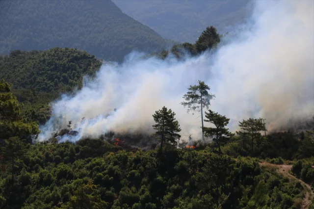 Antalya'da Aksu ve Kumluca'da Orman Yangınları Ekipleri Harekete Geçirdi