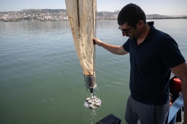 Marmara Denizi'nde Müsilaj Tehlikesi: Deniz Suyunun Normale Dönmesi Rahatlattı