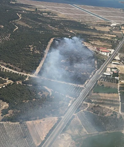 İzmir Aliağa'daki Orman Yangını Kontrol Altına Alınmaya Çalı...