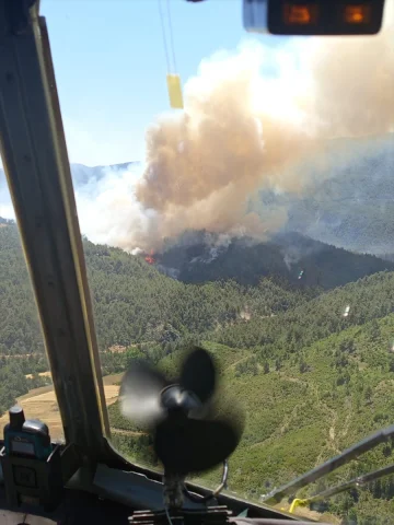 Sakarya Orman Yangınına Hızla Müdahale Ediliyor