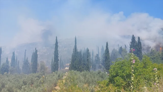 Bursa'da Tarım Arazisinde Çıkan Büyük Yangın Söndürülmeye Ça...