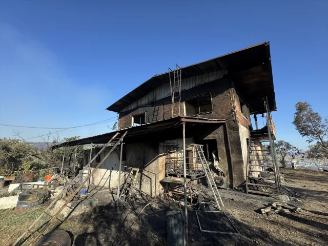 İzmir'de Orman Yangını Felaketi Eşiğinden Dönüldü