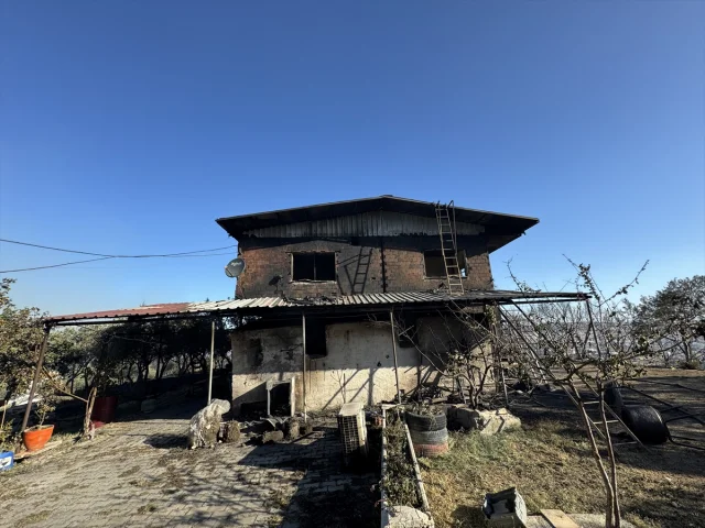 İzmir'de Orman Yangını Felaketi Eşiğinden Dönüldü