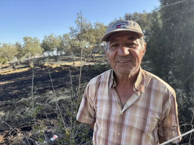 İzmir'de Orman Yangını Felaketi Eşiğinden Dönüldü