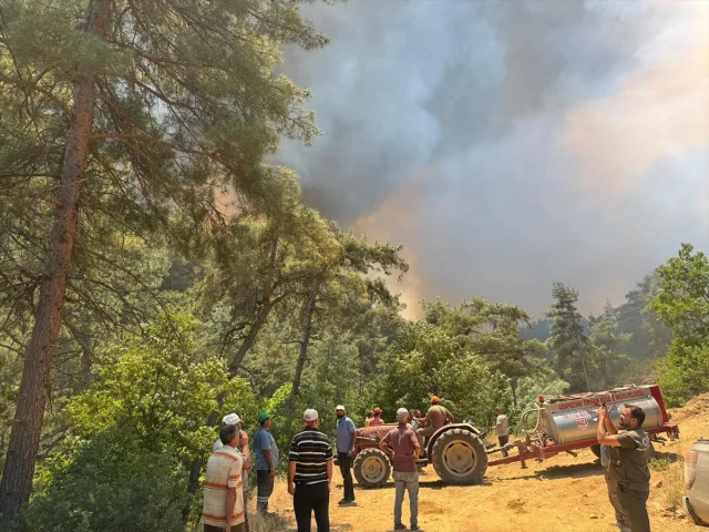Sakarya'daki Orman Yangını Kontrol Altına Alınmaya Çalışılıyor