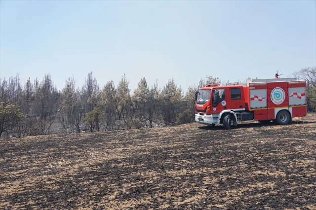 Tekirdağ'da Orman Yangını Söndürme Çalışmaları Sürüyor