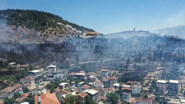 Bursa'da Arazide Başlayan Yangın Tamamen Söndürüldü