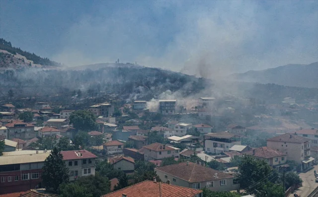 Bursa'da Arazide Başlayan Yangın Tamamen Söndürüldü