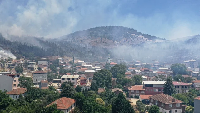 Bursa'da Arazide Başlayan Yangın Tamamen Söndürüldü