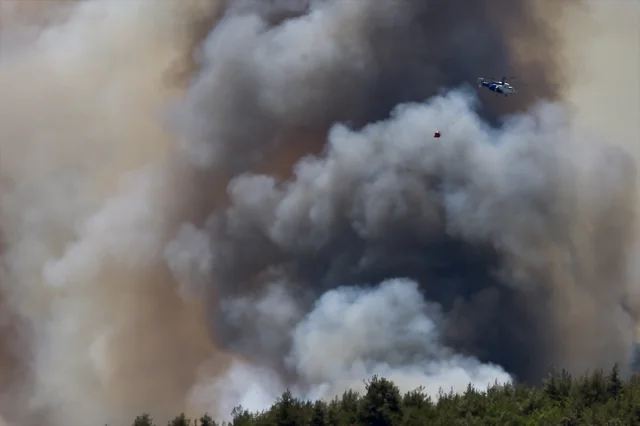 Sakarya'daki Orman Yangını Kontrol Altına Alınmaya Çalışılıyor
