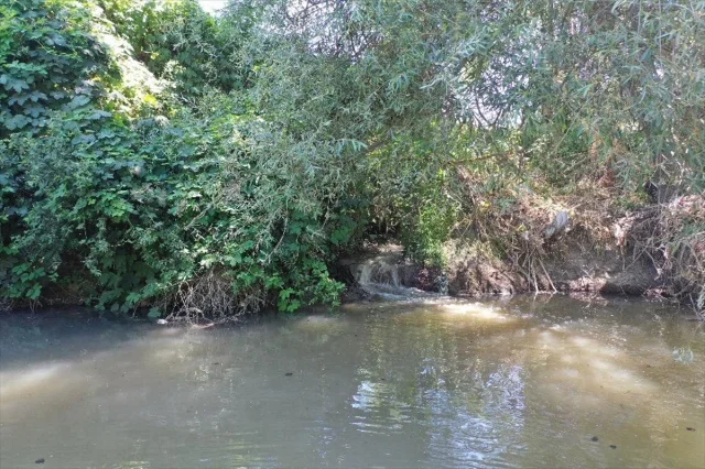 Marmara Denizi'nin Korunması İçin Denetimler Sıkılaşıyor
