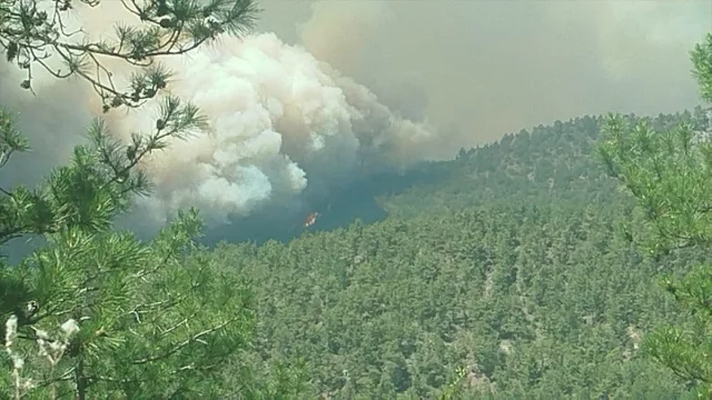 Sakarya'da Başlayan Orman Yangını Bilecik'e Sıçradı: Müdahal...