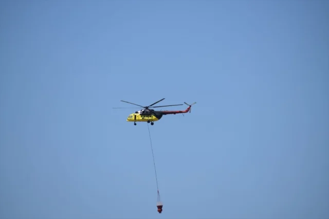 İzmir Bornova'da Tarım Arazisinde Başlayan Yangın Ormana Yay...