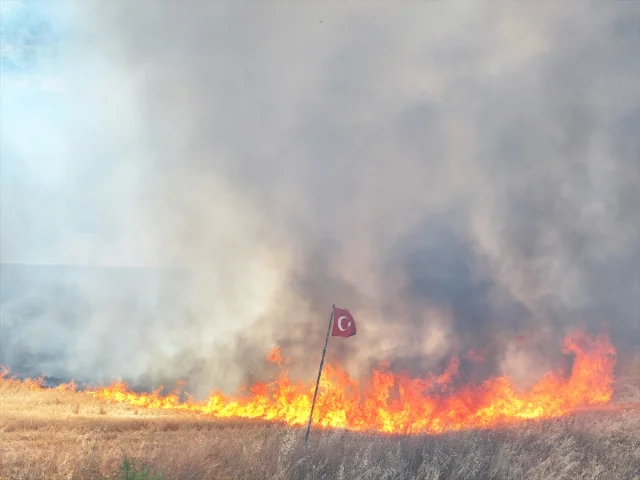 Edirne'de Tarım Arazisinde Büyük Yangın: Müdahale ve Kahramanlıklar