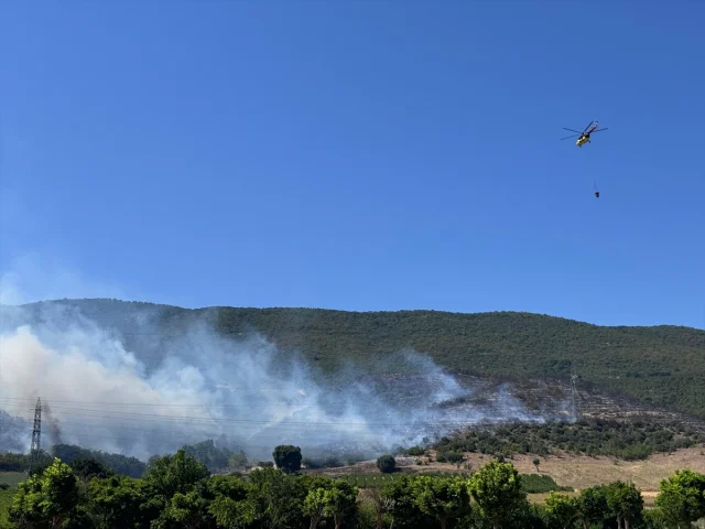 Bursa Yenişehir'de Orman Yangınına Yoğun Mücadele Sürüyor