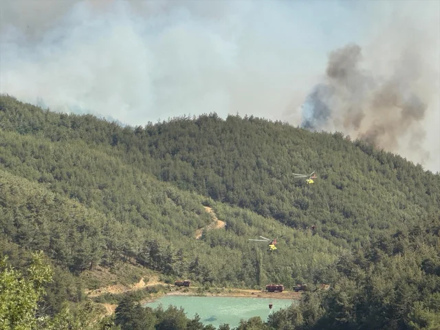 Sakarya'daki Orman Yangını Kontrol Altına Alınmaya Çalışılıyor