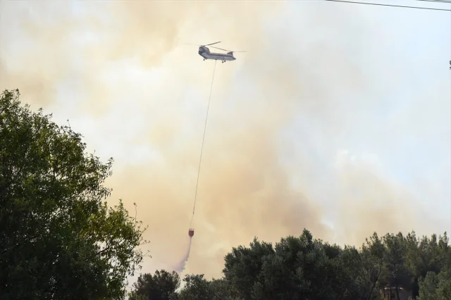 İzmir Bornova'da Tarım Arazisinde Başlayan Yangın Ormana Yayıldı