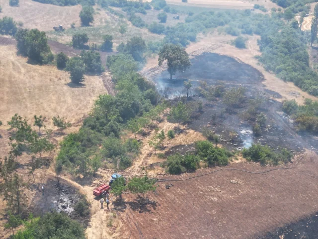 Bursa İnegöl'de Orman Yangını Başladı ve Kontrol Altına Alın...
