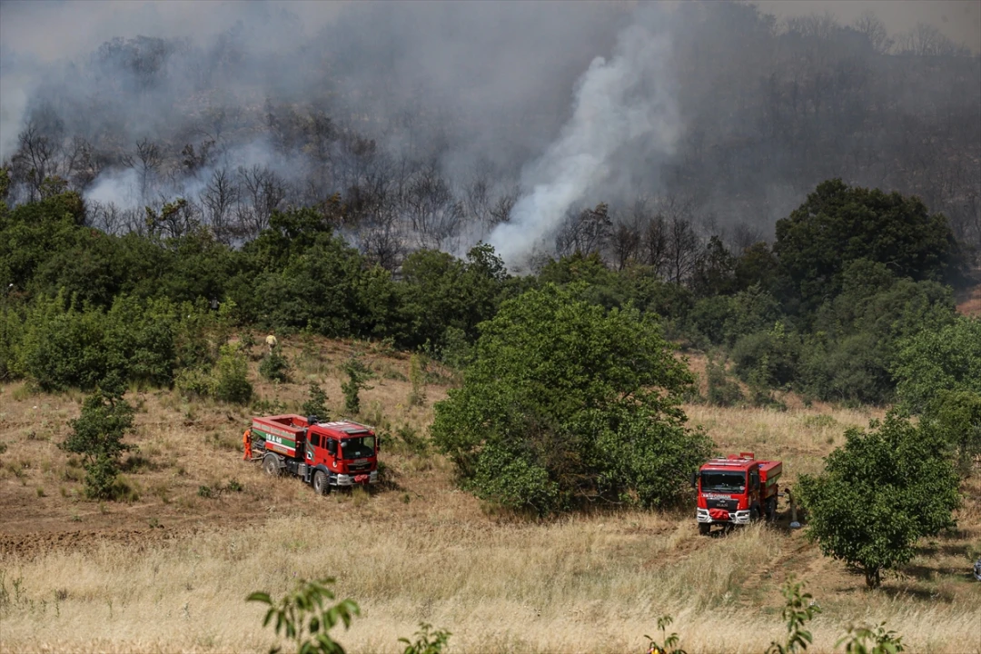 Yenişehir'deki Orman Yangını Söndürüldü: Tüm Detaylar