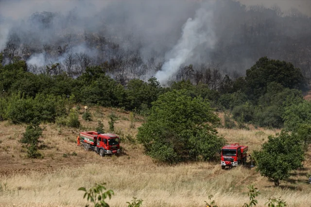 Yenişehir'deki Orman Yangını Söndürüldü: Tüm Detaylar