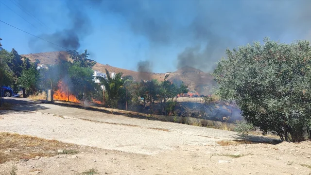 Bodrum'da Çıkan Yangın Korkuttu Ama Hızla Kontrol Altına Alındı