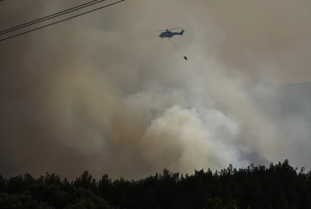 İzmir Bornova'da Tarım Arazisinde Başlayan Yangın Ormana Yayıldı