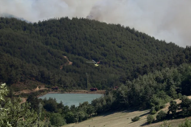 Sakarya'daki Orman Yangınına İleri Düzey Müdahale