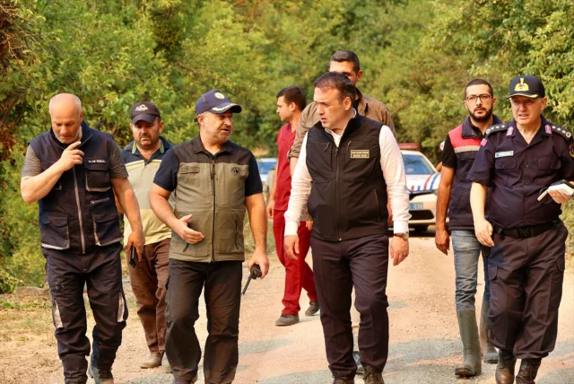 Sakarya'da Başlayan Orman Yangını Bilecik'e Sıçradı: Müdahale Sürüyor