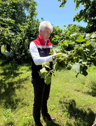 Rize'de Samuray Arılarıyla Zararlılara Karşı Etkili Mücadele