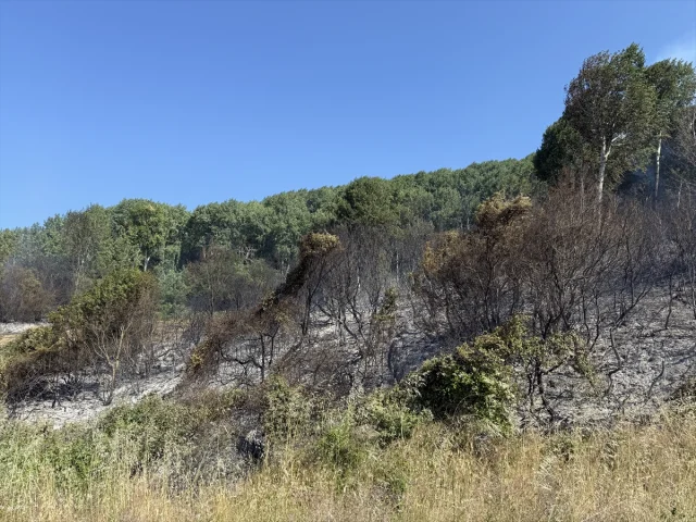 Tekirdağ'da Buğday Tarlasında Çıkan Yangın Kontrol Altına Alındı