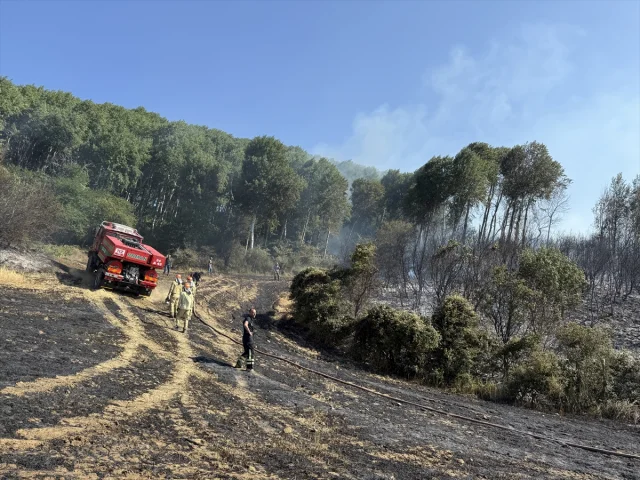 Tekirdağ'da Buğday Tarlasında Çıkan Yangın Kontrol Altına Alındı