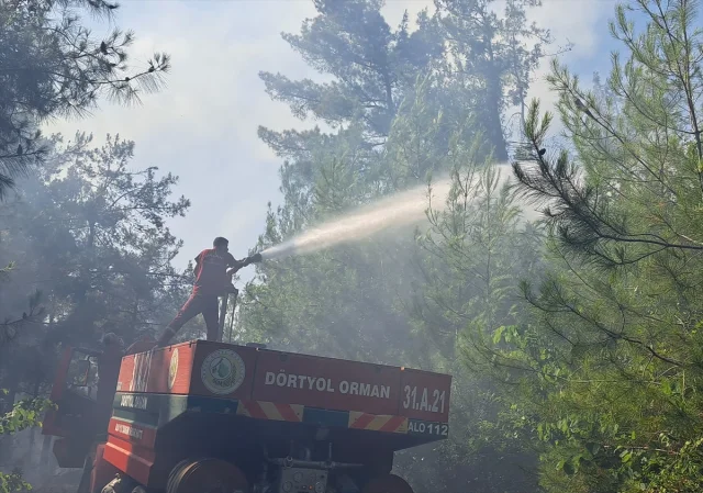 Hatay'ın Dörtyol İlçesinde Orman Yangınıyla Mücadele