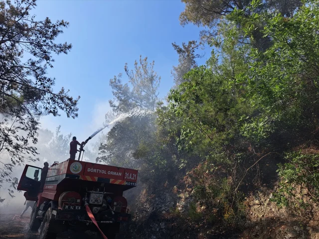 Hatay'ın Dörtyol İlçesinde Orman Yangınıyla Mücadele