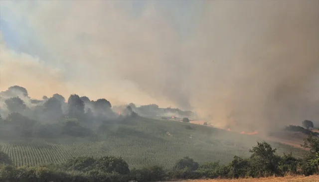Balıkesir Susurluk'ta Arazide Çıkan Yangın Büyük Mücadele Gerektiriyor