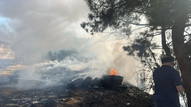 Muğla'nın Kavaklıdere İlçesinde Orman Yangını Kontrol Altına Alındı