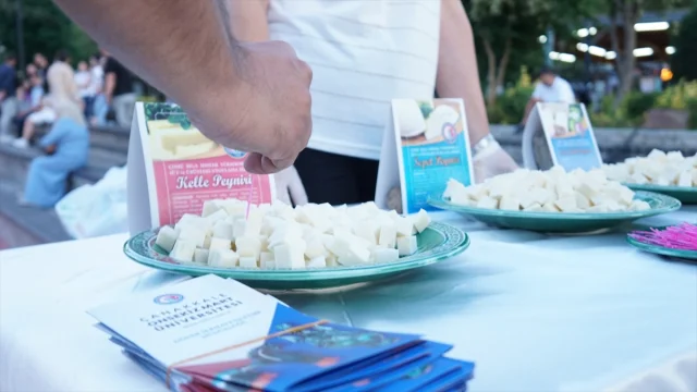 Çanakkale'de Bilim Kafe Etkinliği Anne Sütünün Gizemlerini Açığa Çıkardı