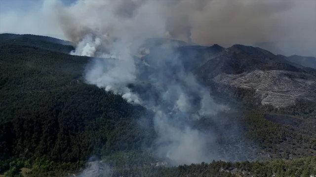 Sakarya'da Orman Yangınına Havadan ve Karadan Yoğun Müdahale