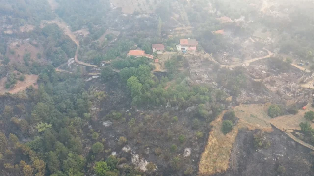 Sakarya ve Bilecik Arasındaki Yangında Felaketin Boyutları Büyüyor