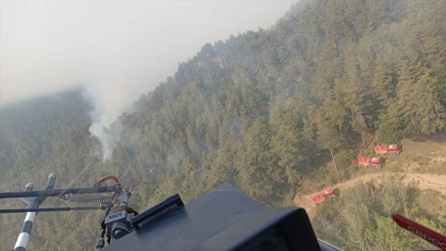 Sakarya ve Bilecik Arasındaki Yangında Felaketin Boyutları Büyüyor