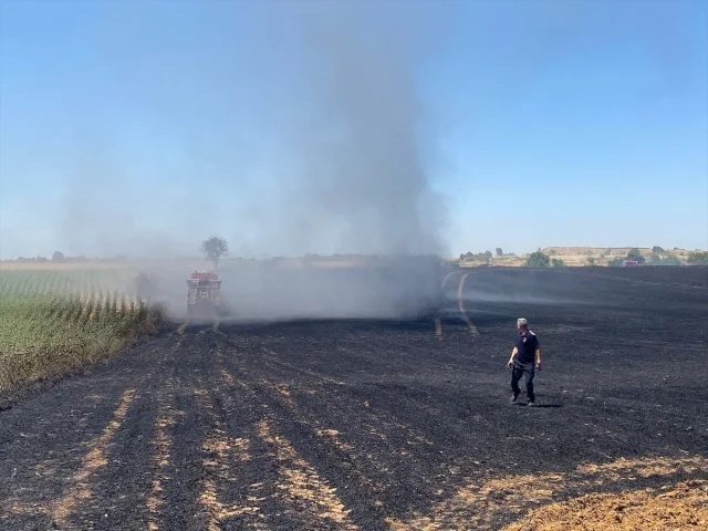 Edirne'de Buğday Tarlasındaki Yangın Kontrol Altına Alındı