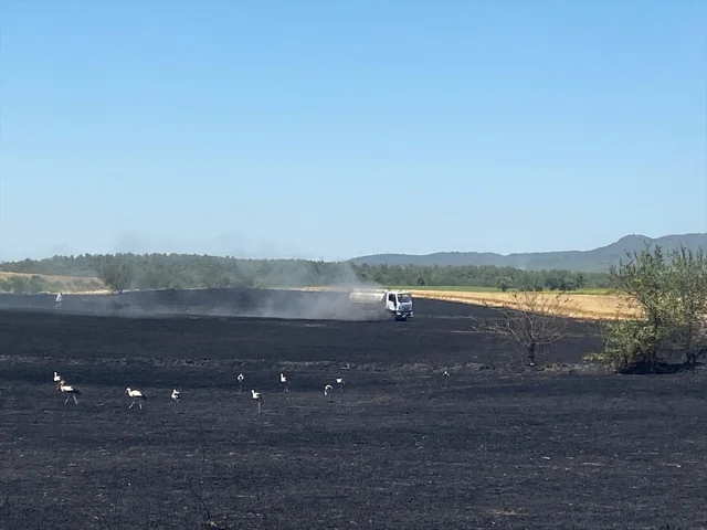 Edirne'de Buğday Tarlasındaki Yangın Kontrol Altına Alındı