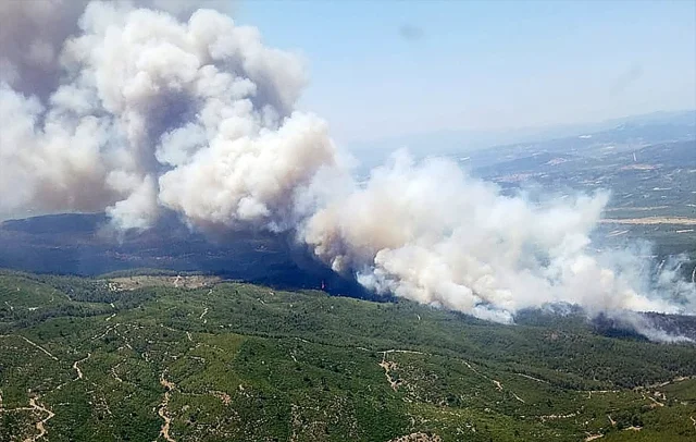 Akhisar'da Orman Yangını: Müdahale Ekipleri Seferber Oldu
