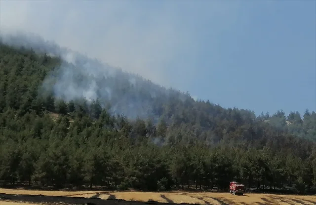 Kahramanmaraş'taki Orman Yangınına Yoğun Müdahale Sürüyor