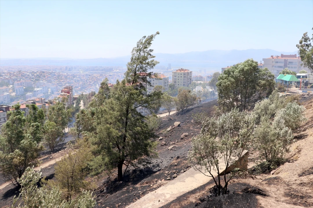 İzmir'de İki İlçede Otluk Yangınları Tehlike Yarattı