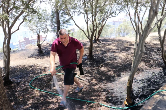 İzmir'de İki İlçede Otluk Yangınları Tehlike Yarattı